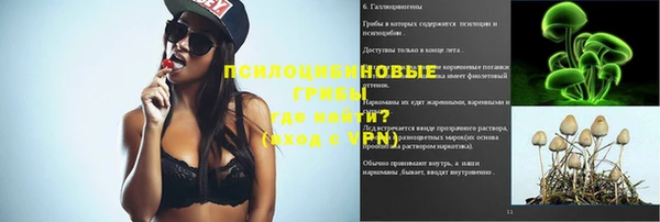spice Балахна