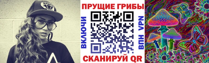 Псилоцибиновые грибы Psilocybe Купить где Дятьково